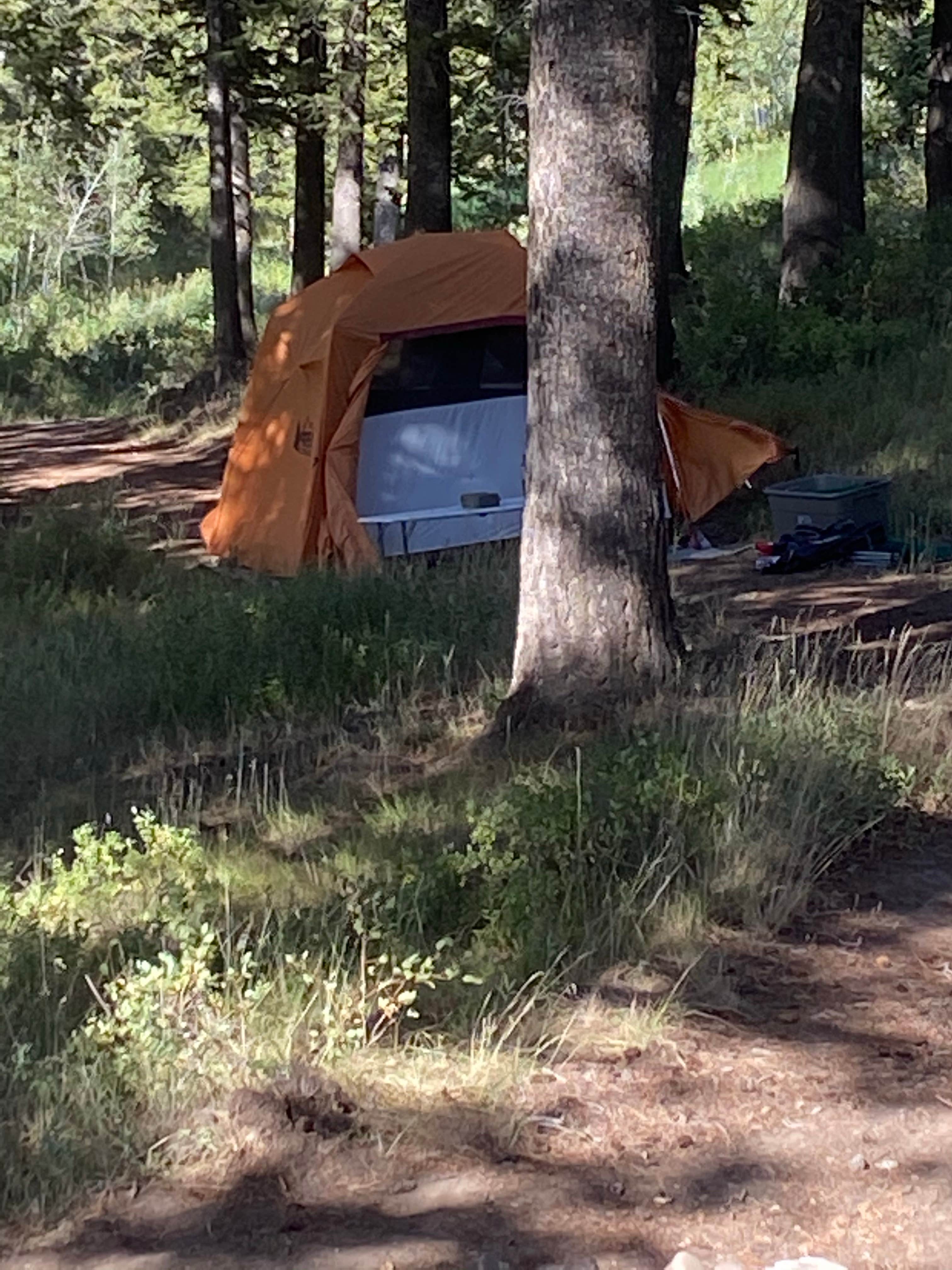 Chad L.'s photo at Curtis Canyon Campground near Jackson, WY
