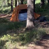 Review photo of Curtis Canyon Campground by Chad L., September 2, 2020