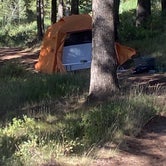 Review photo of Curtis Canyon Campground by Chad L., September 2, 2020