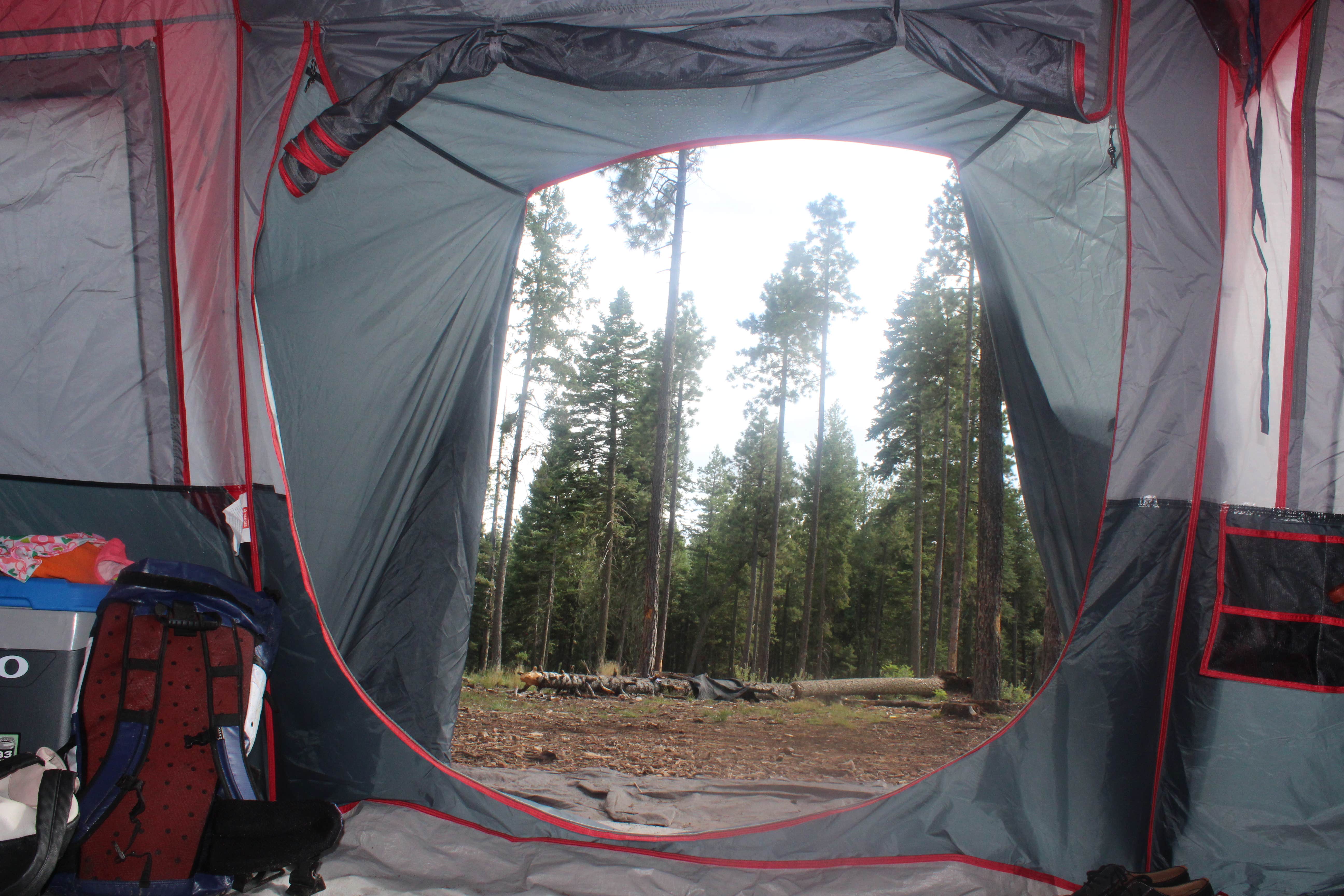 Marisa M.'s photo of a dispersed camping area at Bear Canyon Lake and Camping Area near Cibecue, AZ
