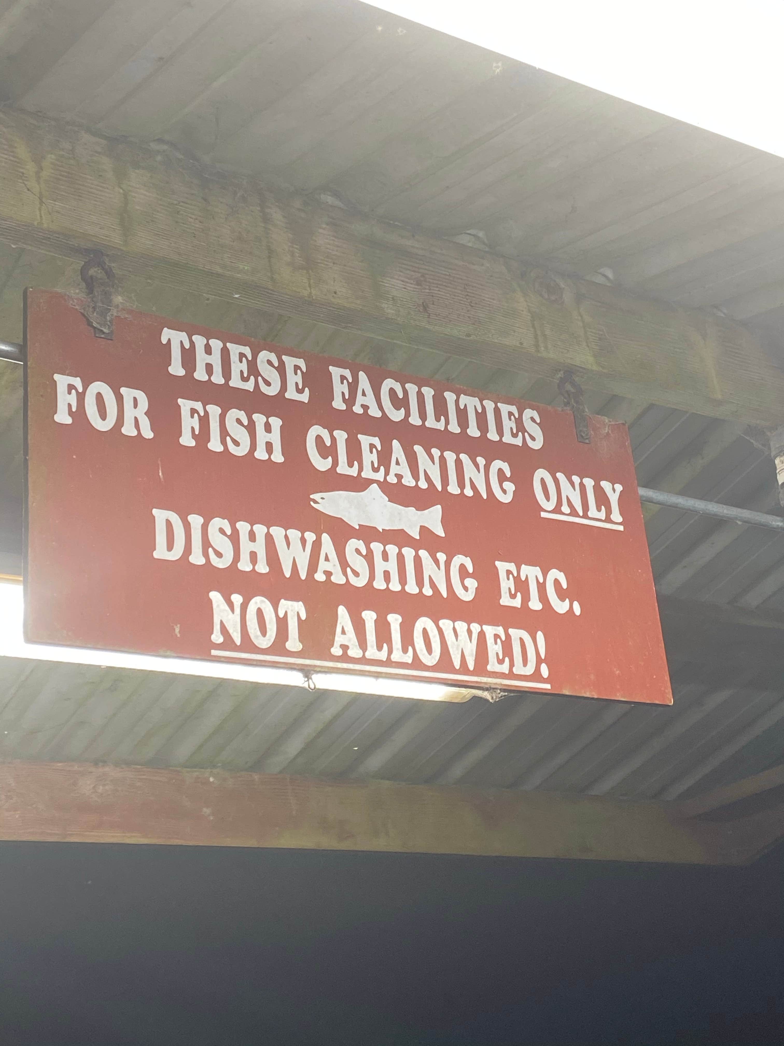 Camper-submitted photo at Klamath Camper Corral near Redwood National Park