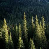 Review photo of Lincoln Creek Dispersed Campground by explauren.d , September 2, 2020