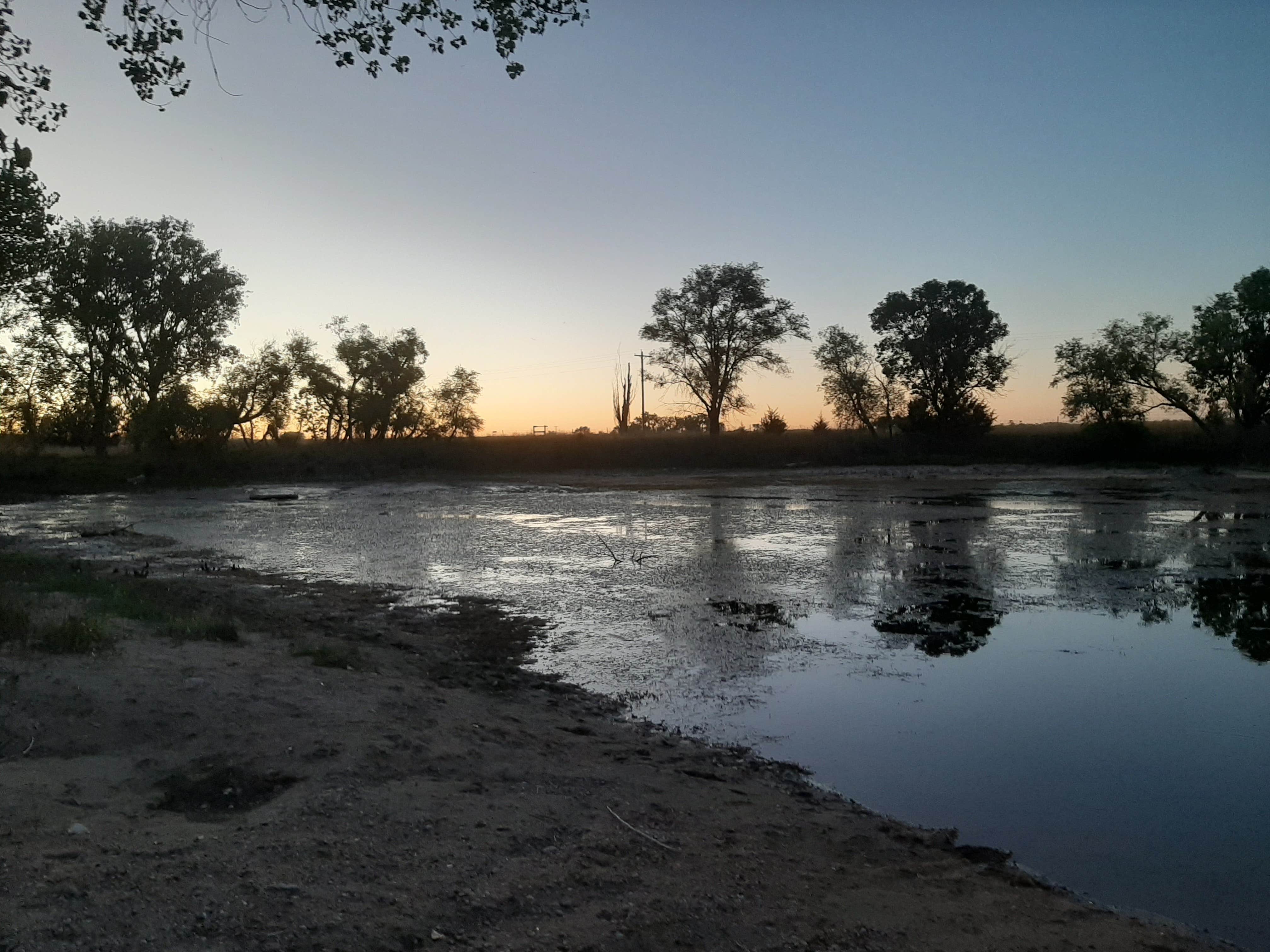 View All