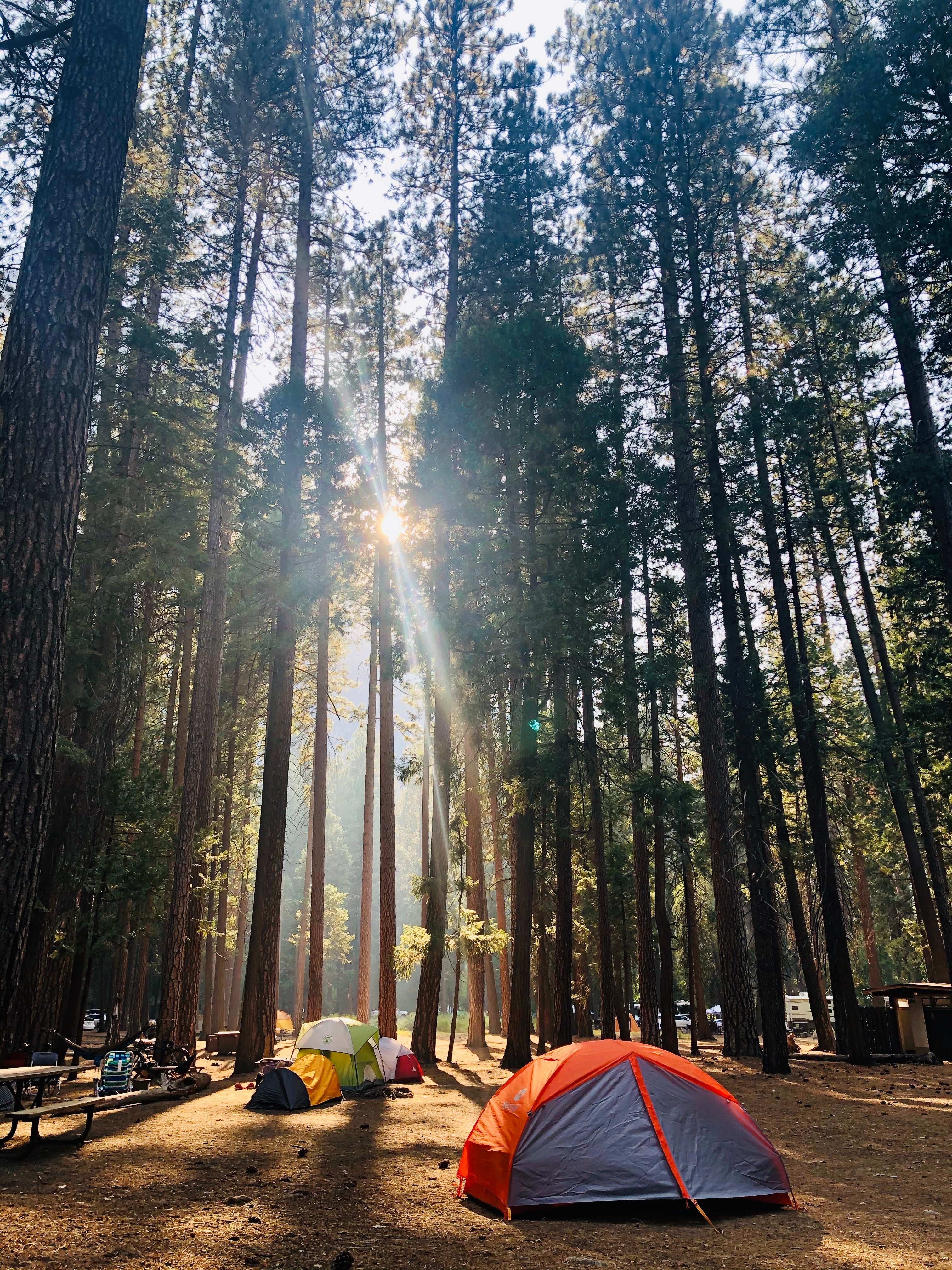 Camper submitted image from Upper Pines Campground — Yosemite National Park - 1