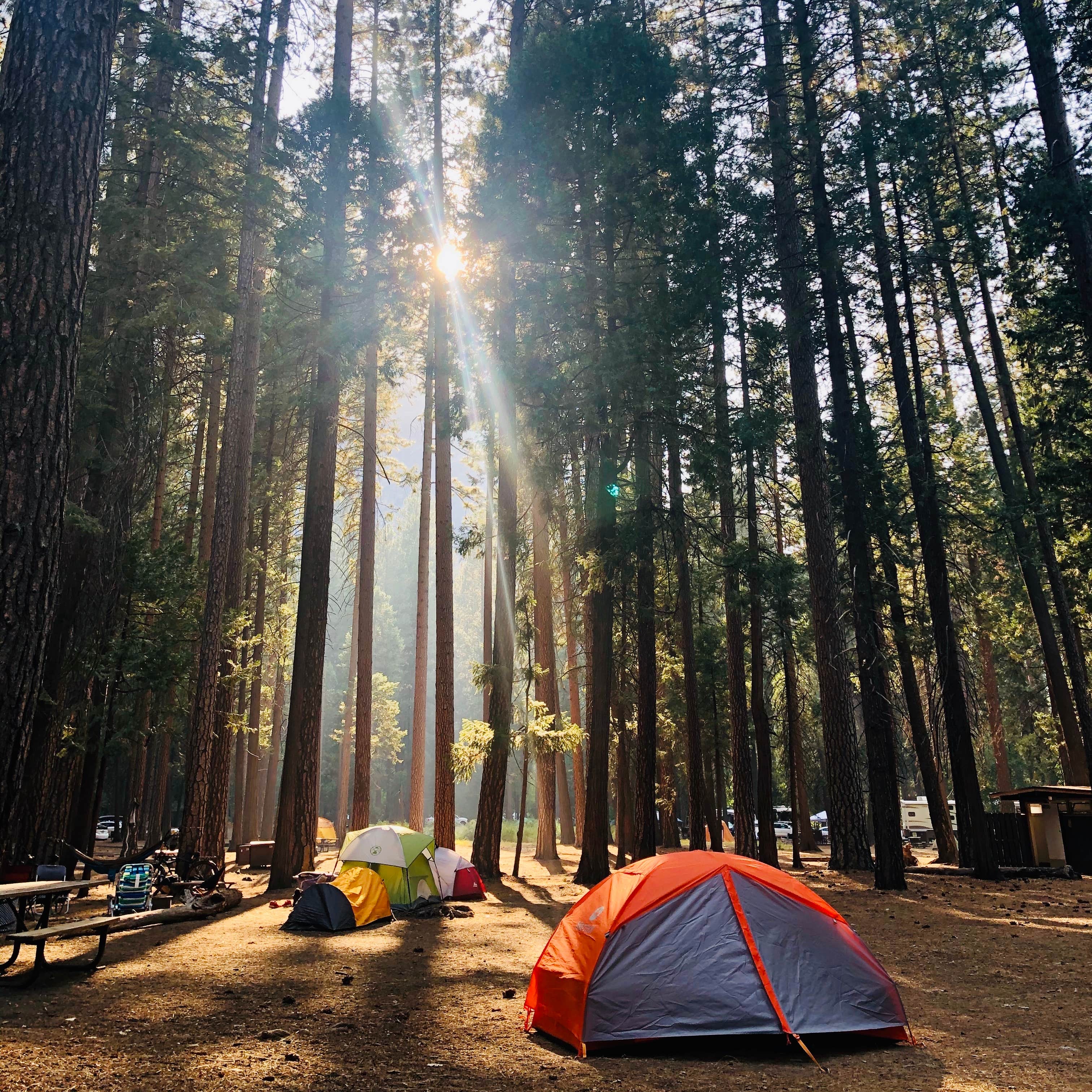Upper Pines Campground — Yosemite National Park
