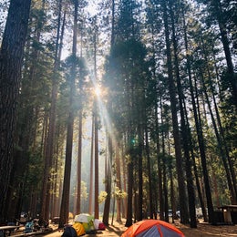 Public Campgrounds: Upper Pines Campground — Yosemite National Park