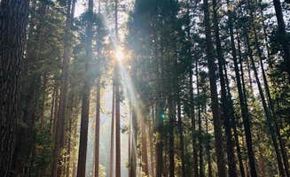 Erika N.'s photo at Upper Pines Campground — Yosemite National Park near Yosemite Valley, CA