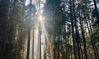 Camping near Curry Village — Yosemite National Park: Upper Pines Campground — Yosemite National Park, Yosemite Valley, California