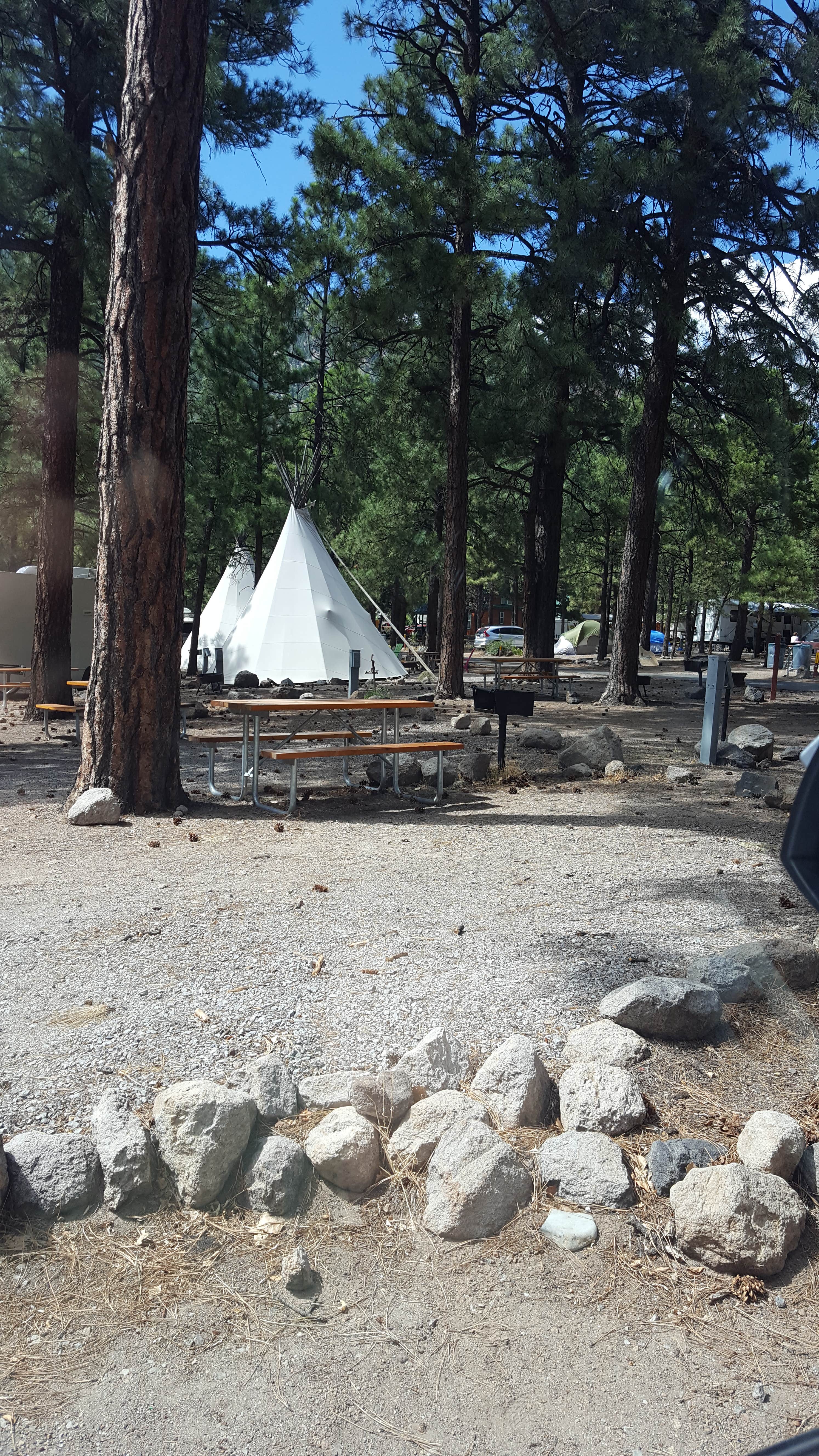 Pamela R.'s photo at Flagstaff KOA in Arizona