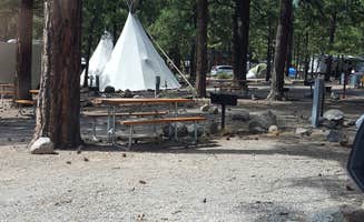 Pamela R.'s photo at Flagstaff KOA in Arizona