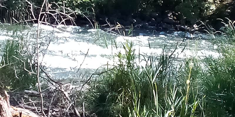 Camper submitted image from Pit River Campground