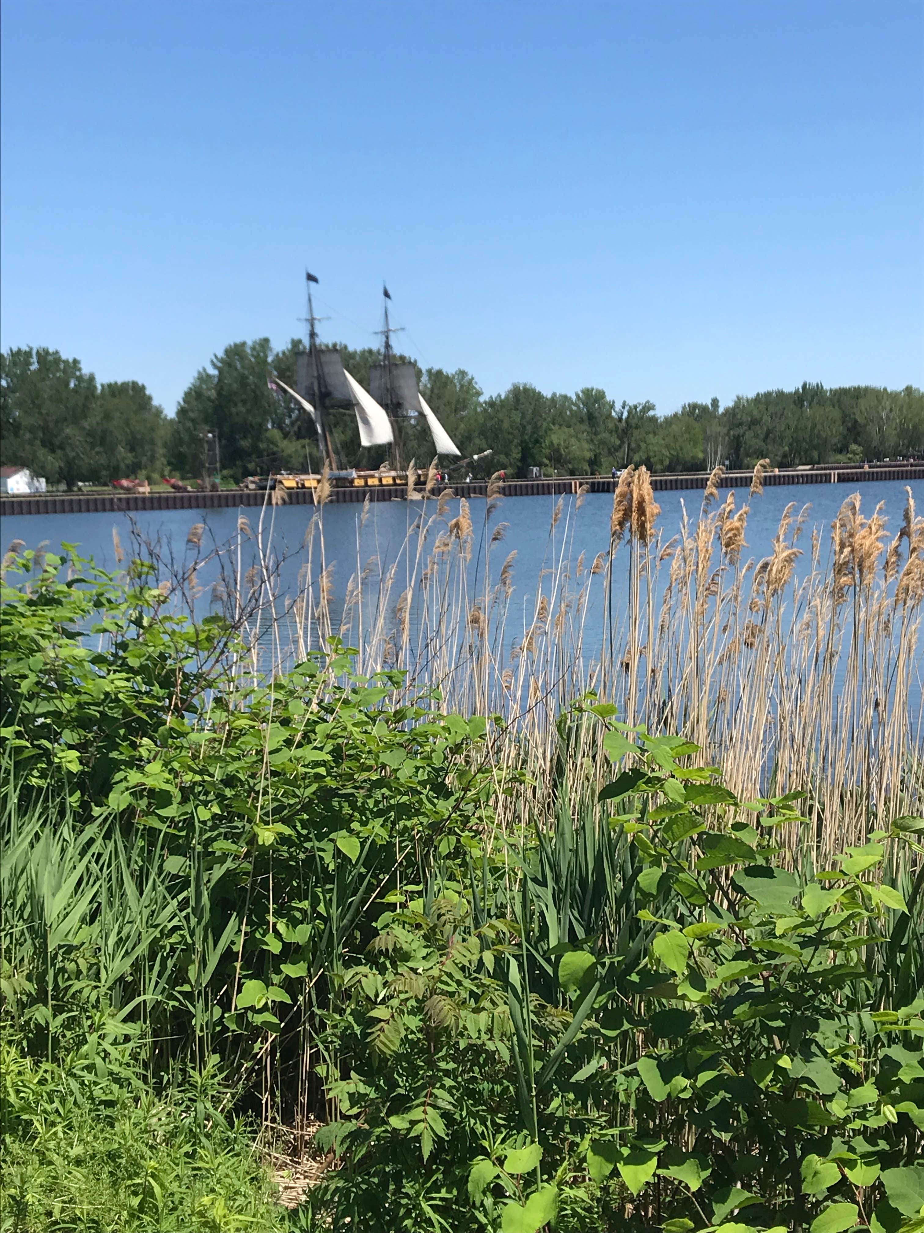 Camping near Erie KOA: Lampe Marina Campground, Erie, Pennsylvania