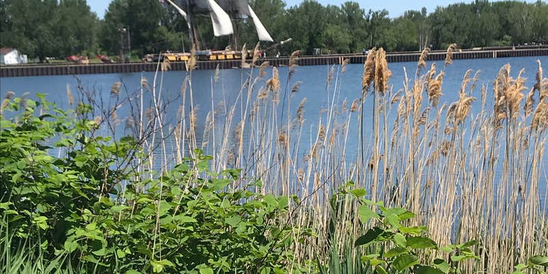 Camper submitted image from Lampe Marina Campground