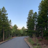 Review photo of Deer Creek Campground — Golden Gate Canyon by Allan , September 2, 2020