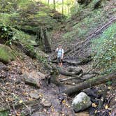 Review photo of Shades State Park Campground by Keith M., May 13, 2018