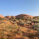 Review photo of Sand Flats Recreation Area by Allan , September 2, 2020