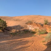 Review photo of Sand Flats Recreation Area by Allan , September 2, 2020