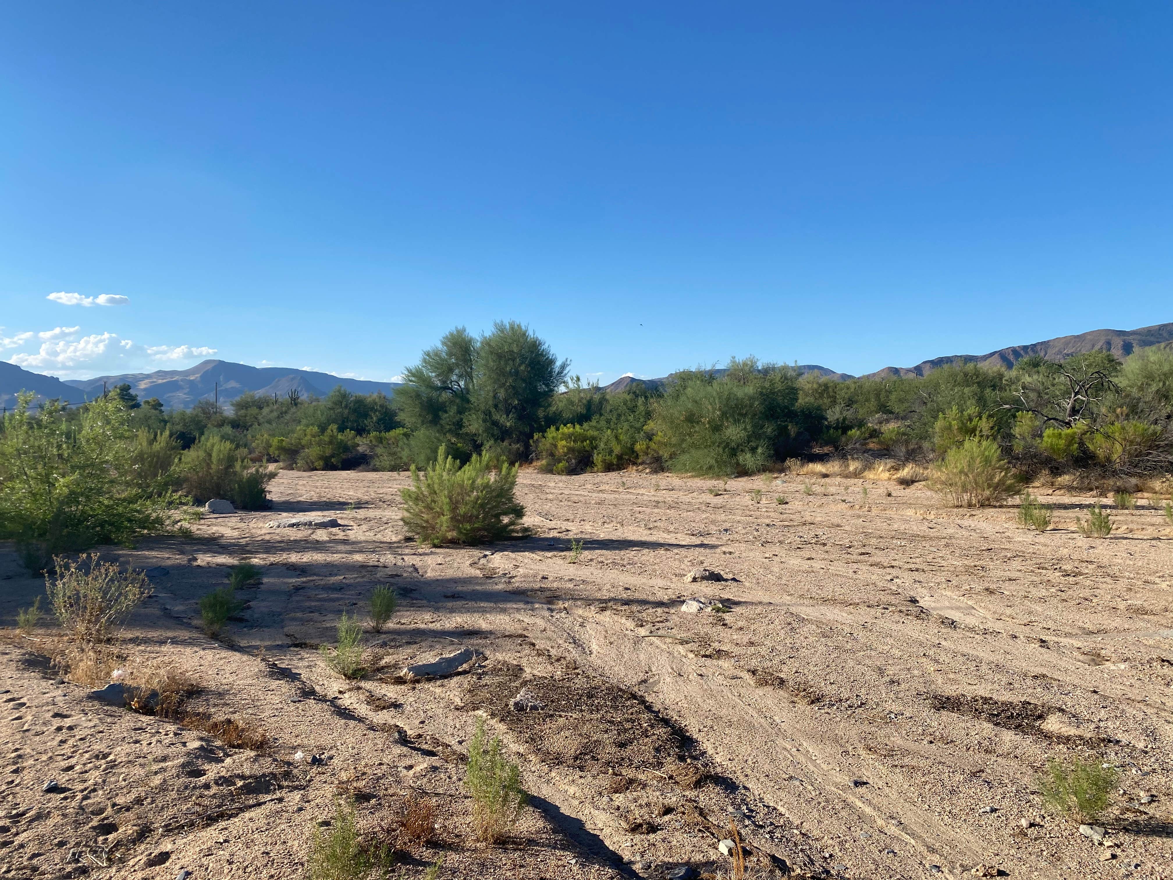 Camper-submitted photo at Stardust trailer park near New River, AZ