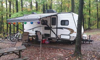 Camping near Bill Monroe Memorial Music Park & Campground: Taylor Ridge Campground — Brown County State Park, Nashville, Indiana
