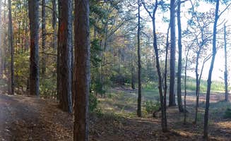 Kim H.'s photo at Hamilton Branch State Park Campground near Woodland, GA