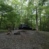 Review photo of Cosby Campground — Great Smoky Mountains National Park by Shalon M., May 13, 2018