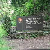 Review photo of Cosby Campground — Great Smoky Mountains National Park by Shalon M., May 13, 2018