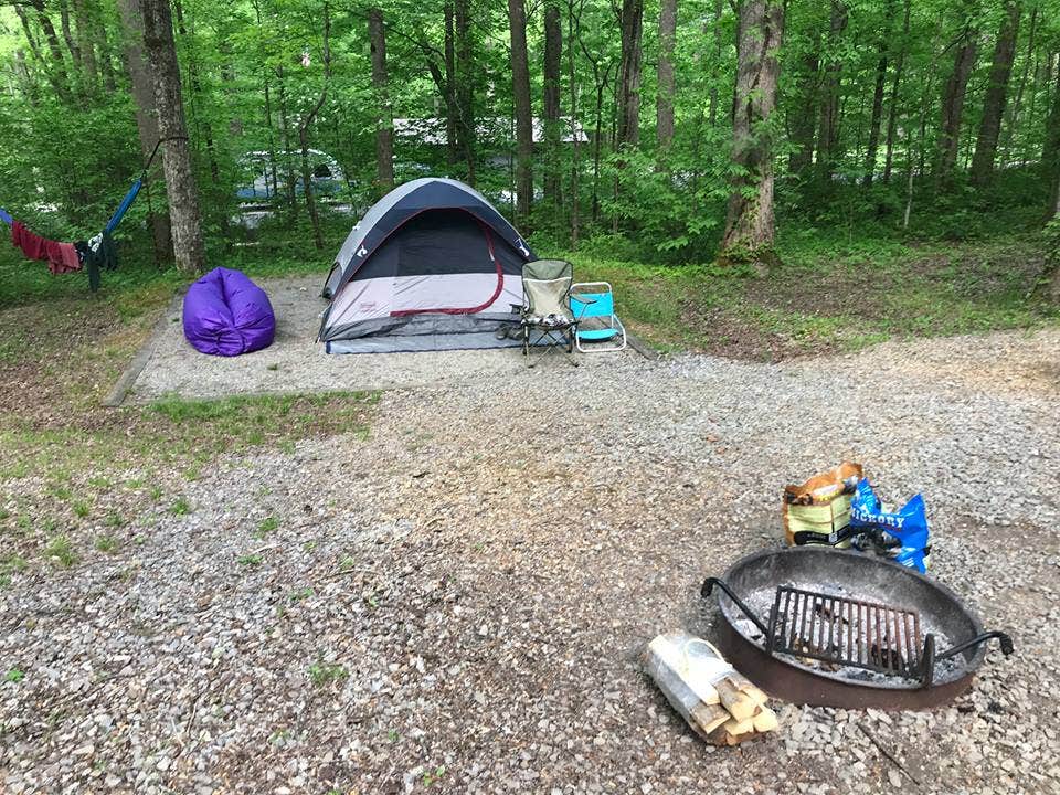 Camper-submitted photo at Cosby Campground — Great Smoky Mountains National Park near Canton, NC
