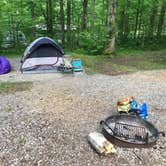 Review photo of Cosby Campground — Great Smoky Mountains National Park by Shalon M., May 13, 2018