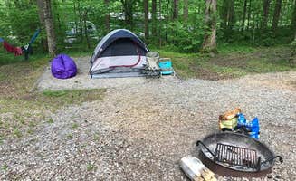 Shalon M.'s photo of tent camping at Cosby Campground — Great Smoky Mountains National Park near Dandridge, TN