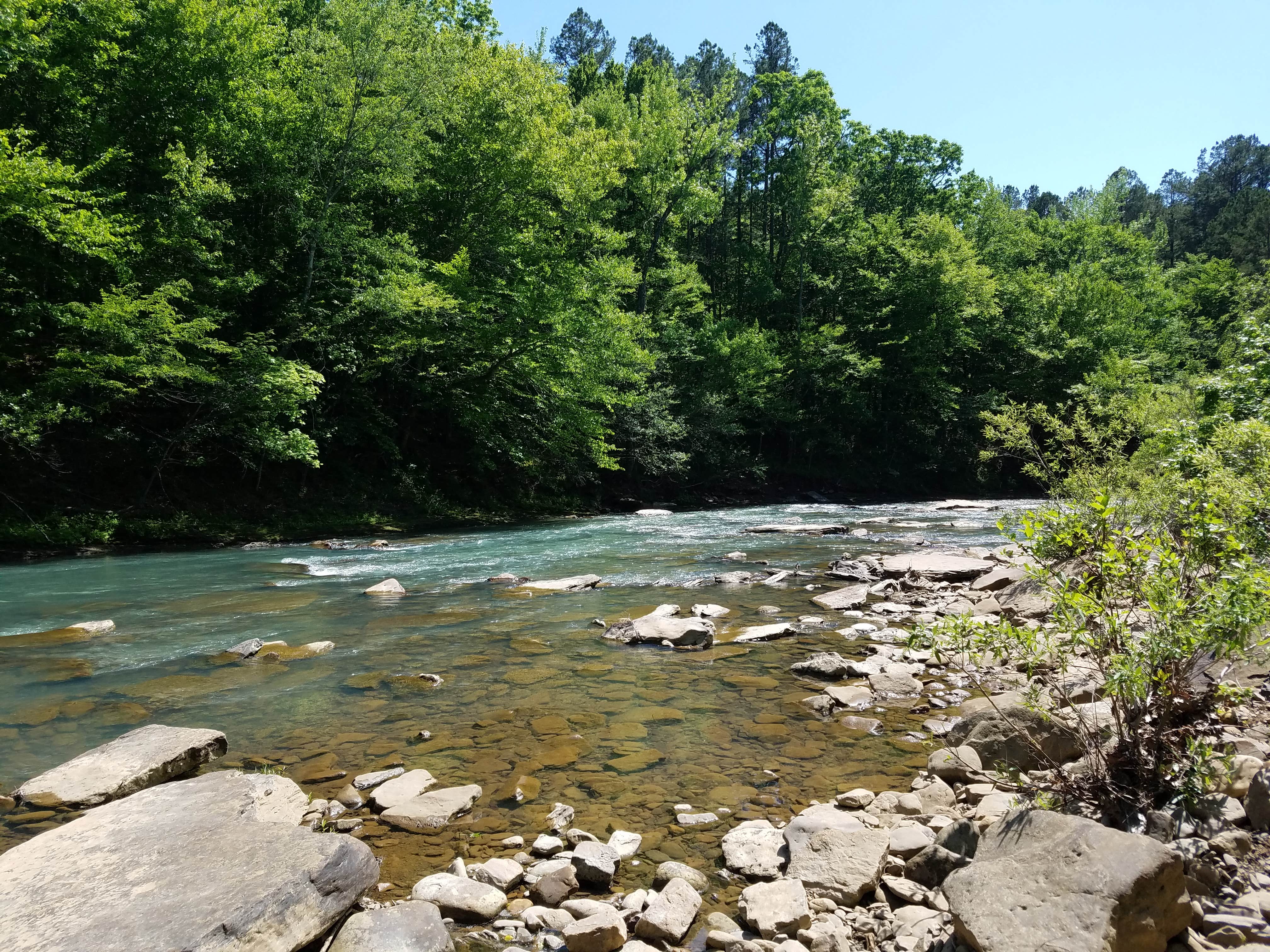 Camper submitted image from Wolf Pen Recreation Area Campground - 5