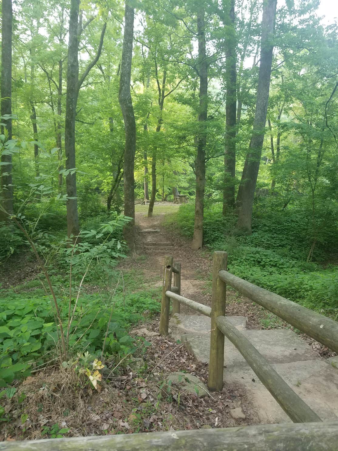 Wolf Pen Recreation Area Campground The Dyrt