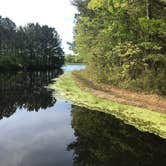 Review photo of Cabin Lake County Park by Rose S., May 13, 2018