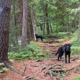 Review photo of Bomoseen State Park Campground by Tara S., September 2, 2020