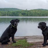 Review photo of Bomoseen State Park Campground by Tara S., September 2, 2020