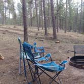 Review photo of Stockade North Campground — Custer State Park by Kari T., May 13, 2018