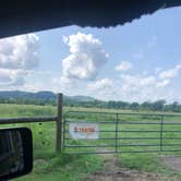 Review photo of Whooping Crane Farm by Lori H., September 2, 2020