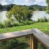 Review photo of Whooping Crane Farm by Lori H., September 2, 2020