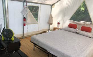 Lori H.'s photo of tent camping at Whooping Crane Farm near Mount Juliet, TN
