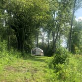 Review photo of Whooping Crane Farm by Lori H., September 2, 2020