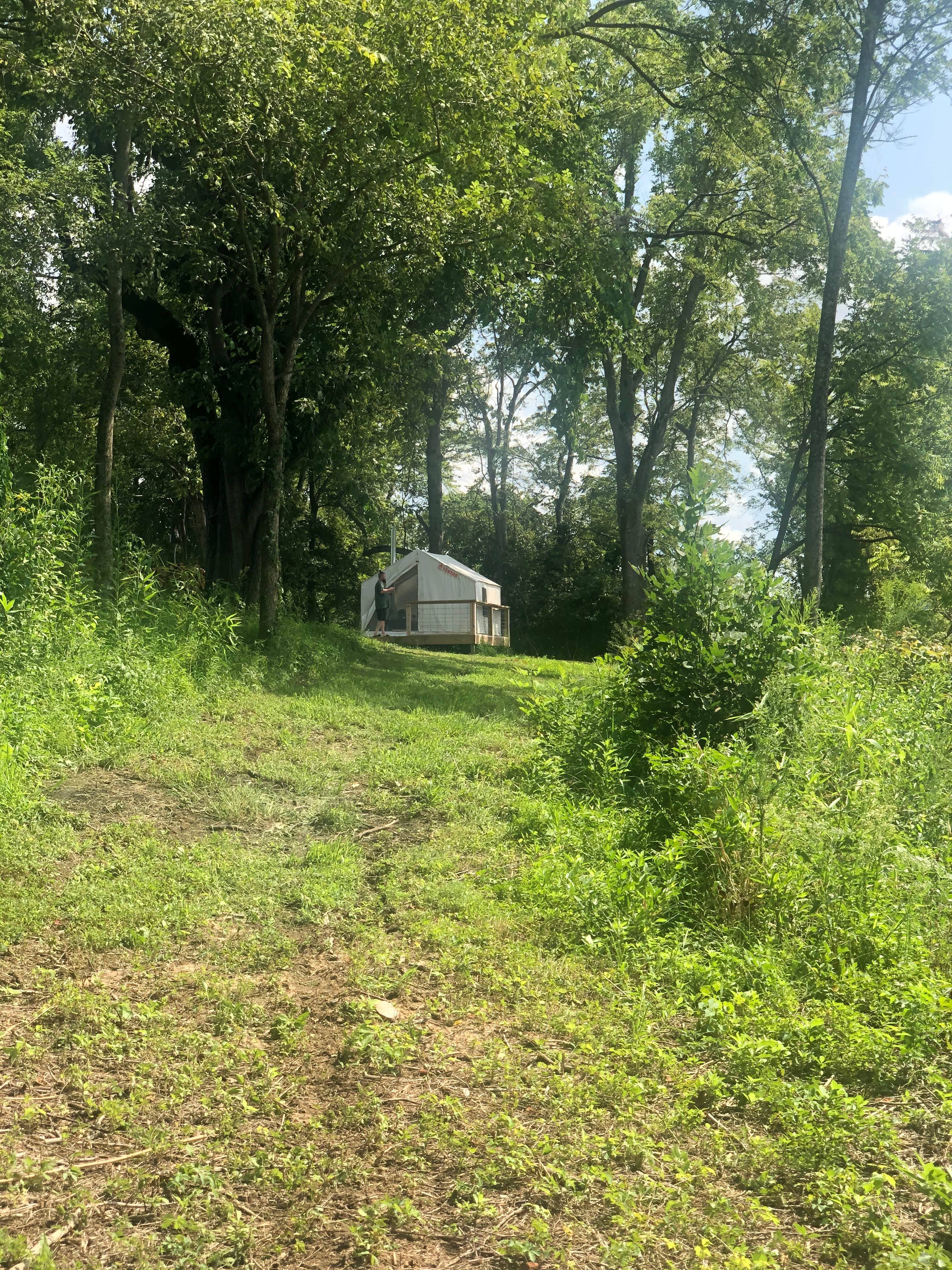 Camper submitted image from Whooping Crane Farm - 2