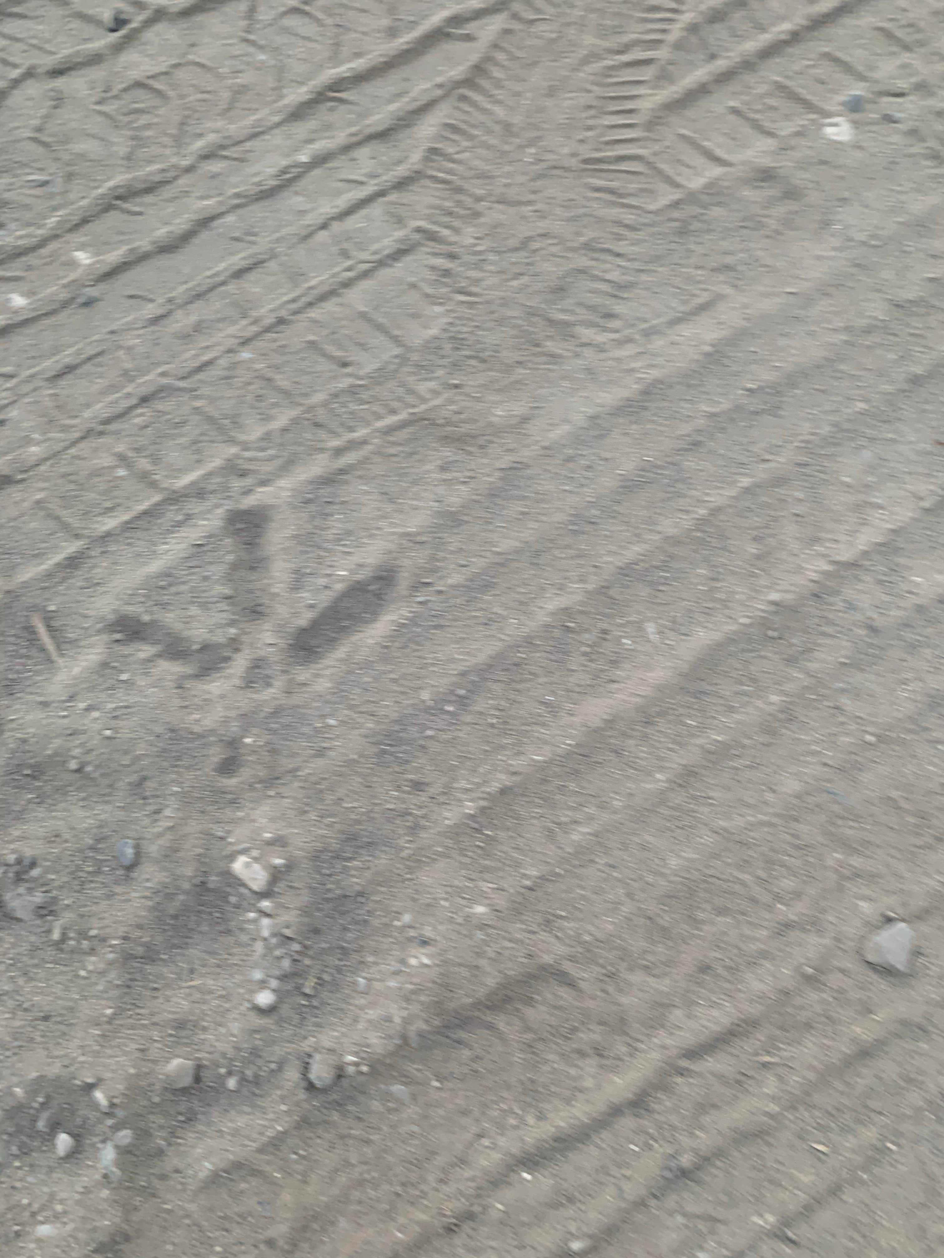 Camper-submitted photo at Rye Patch State Recreation Area near Lovelock, NV