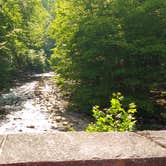 Review photo of Elkmont Campground — Great Smoky Mountains National Park by Thomas  C., July 7, 2016