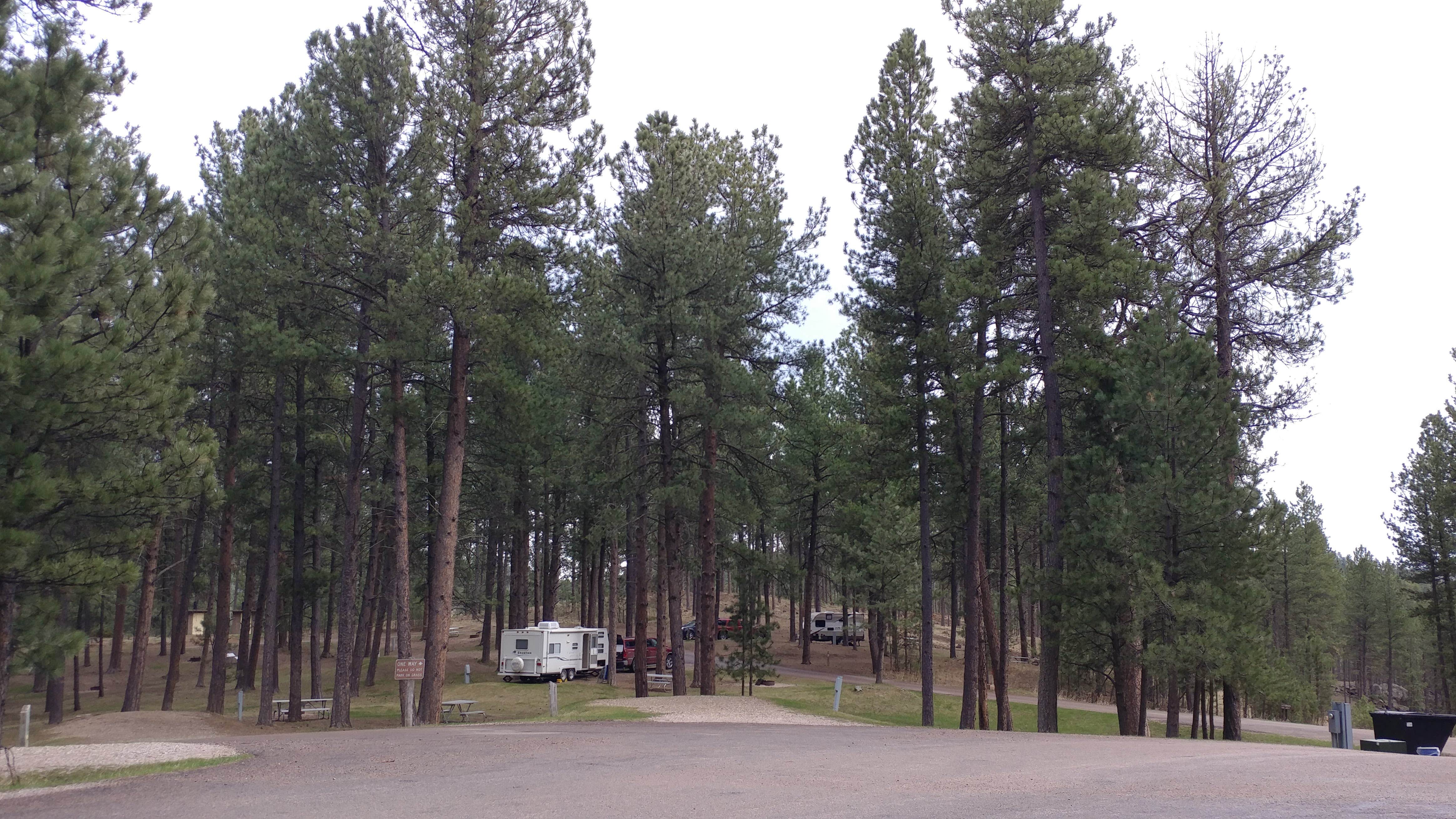 Camper-submitted photo at Stockade North Campground — Custer State Park near Fairburn, SD