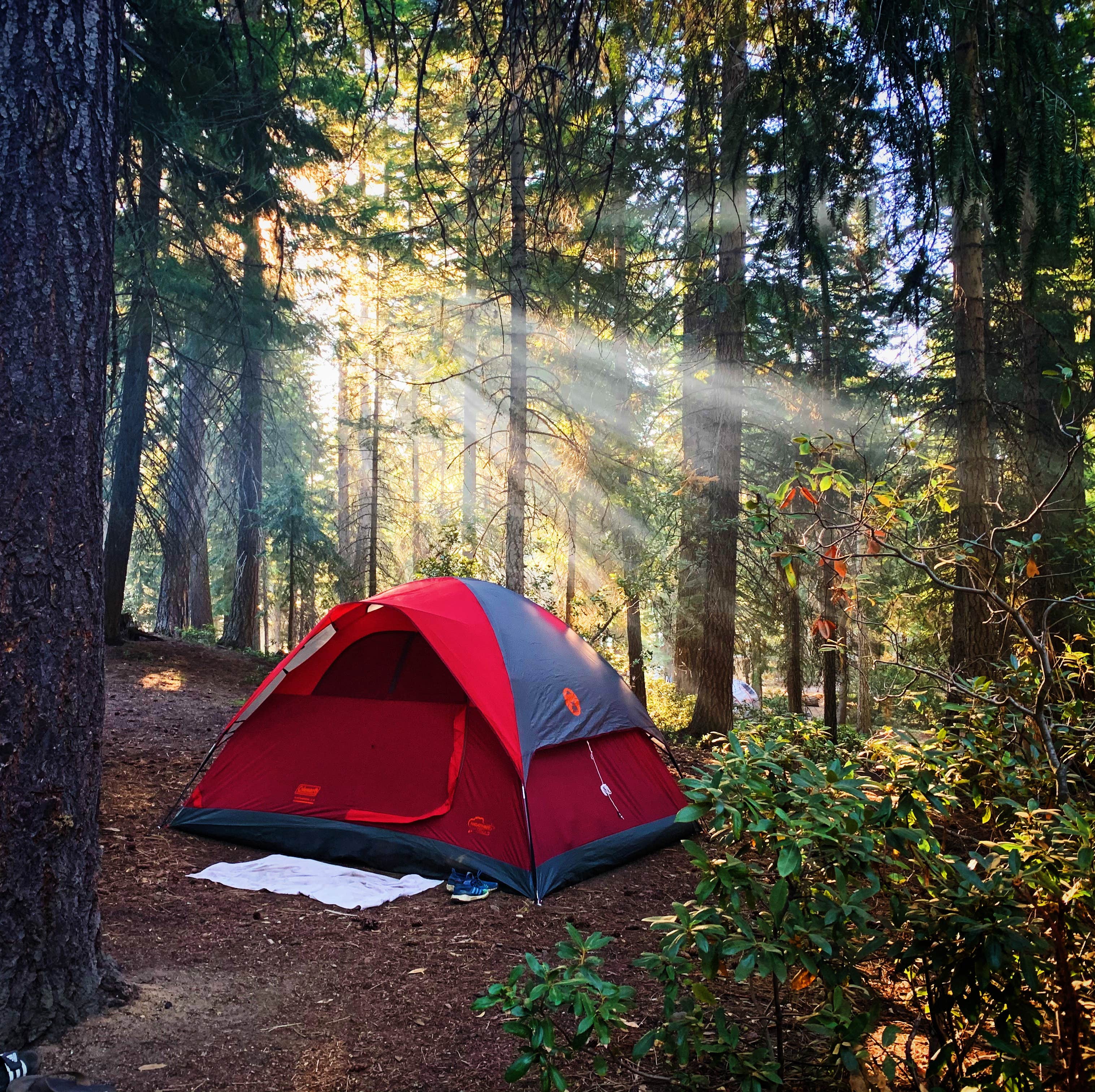 Camper submitted image from Deschutes National Forest Crescent Lake Campground - 2