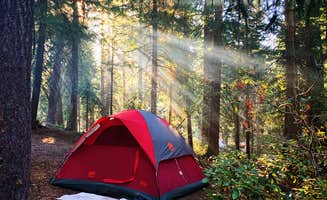 Scotty M.'s photo at Deschutes National Forest Crescent Lake Campground near Gilchrist, OR