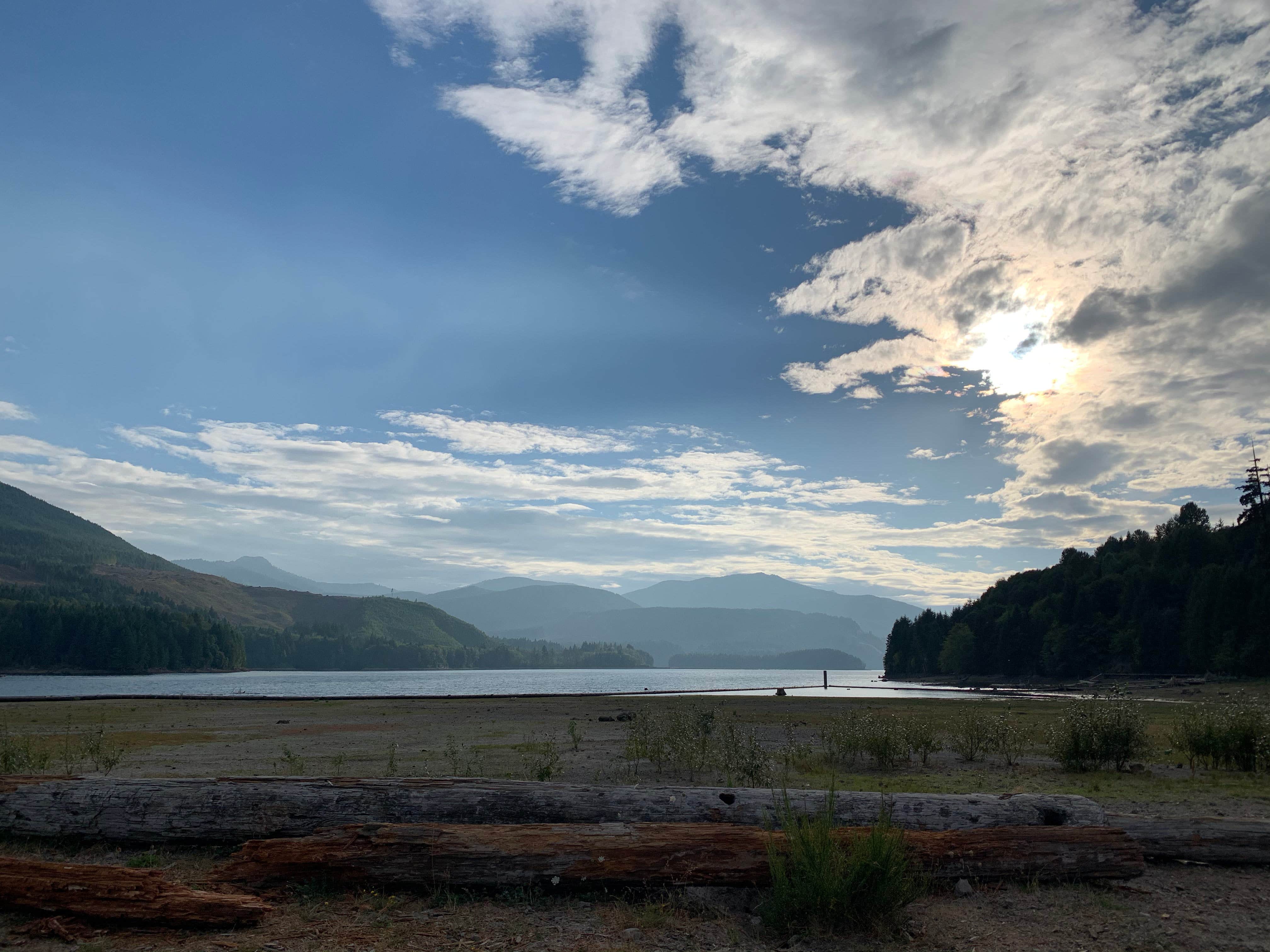 View All
