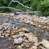 Review photo of Crawford Notch Campground by Laura K., September 2, 2020