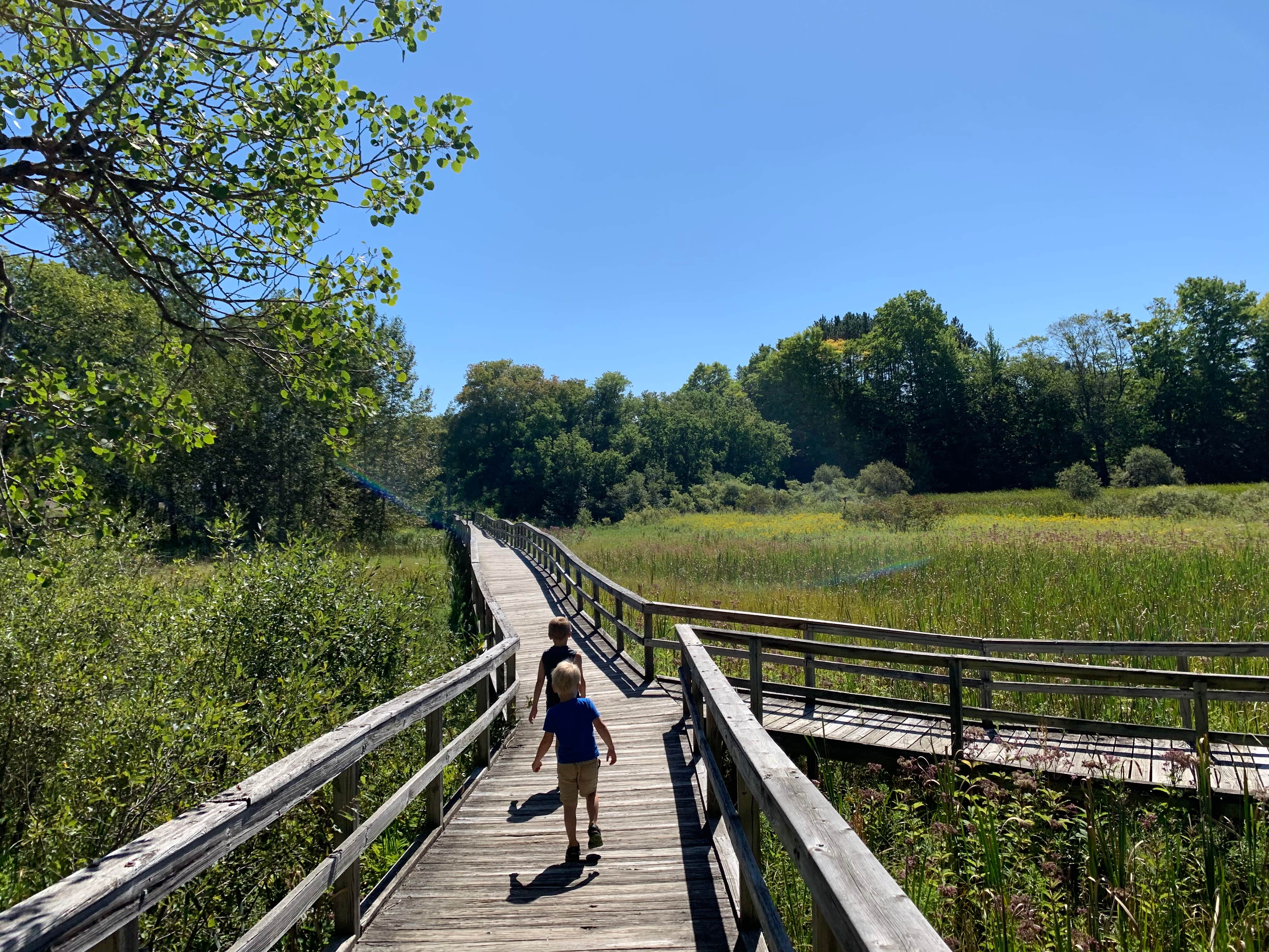 Camper-submitted photo at Rambadt City Park Campground near Evart, MI