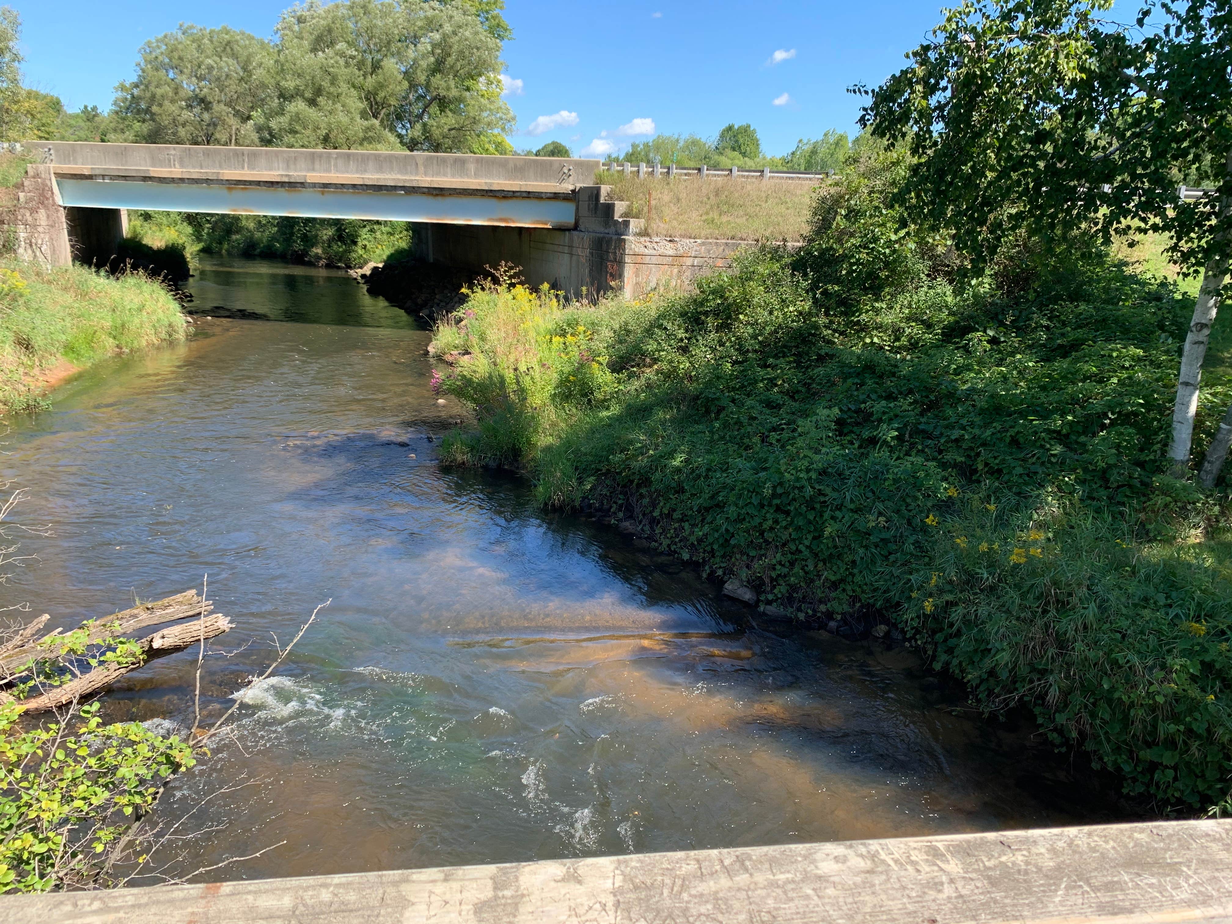 Camper-submitted photo at Rambadt City Park Campground near Evart, MI