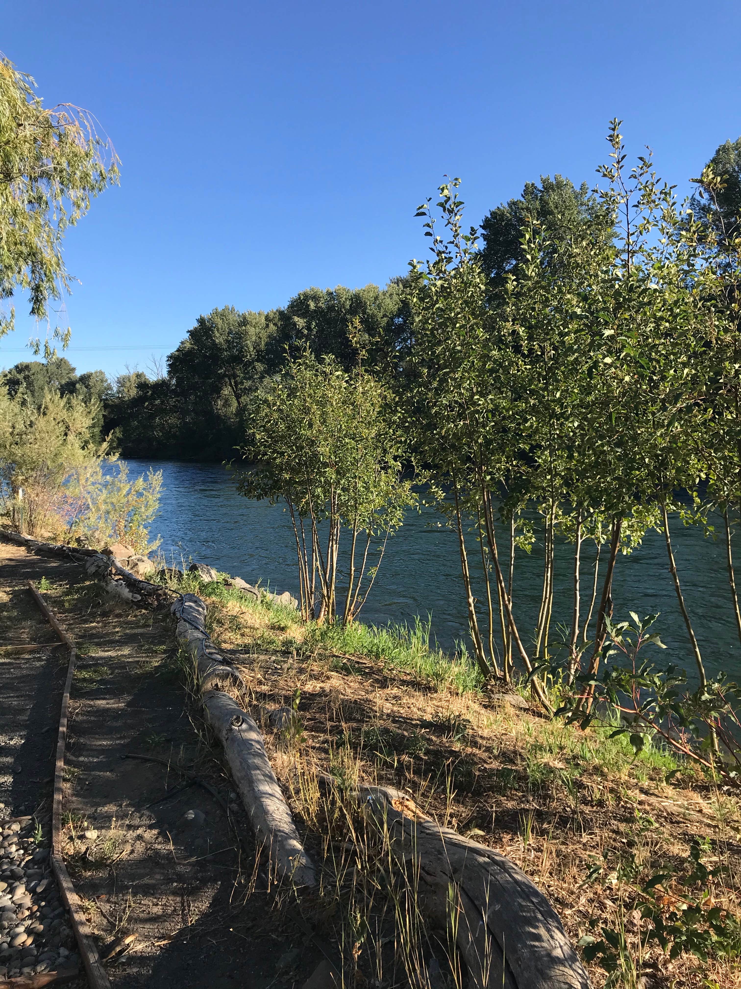 Camper-submitted photo at Ellensburg KOA near Mattawa, WA
